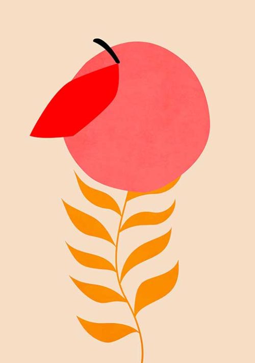 Little Peach - Kubistika