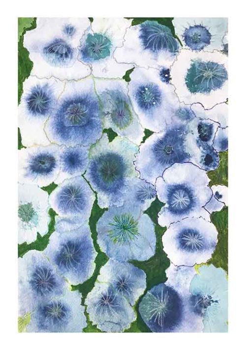 Blue Anemones - Graciela Sbertoli