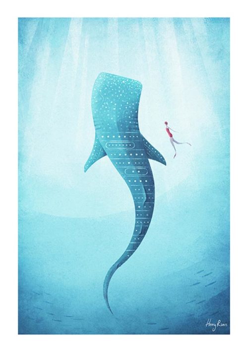 Whale Shark - Henry Rivers