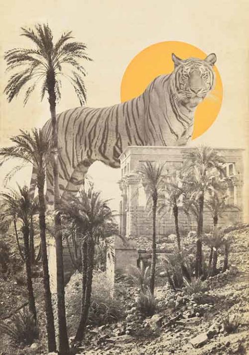 Giant Tiger In Ruins - Florent Bodart