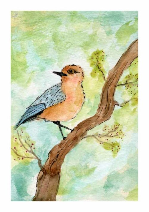 Little Forest Bird - Lillepensel