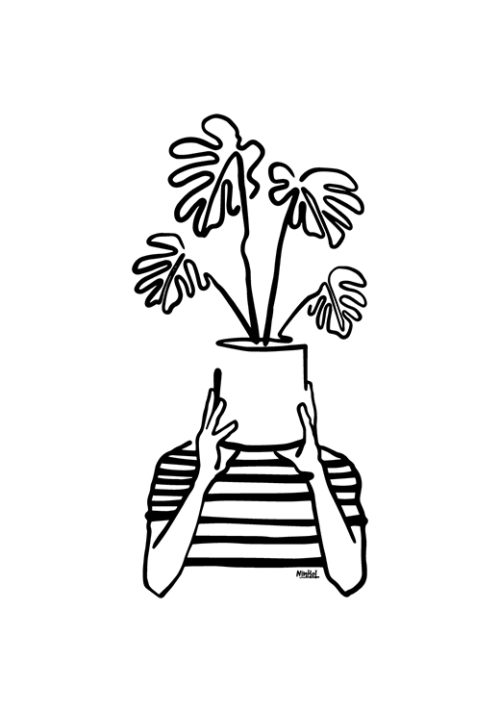 Mood Plants - Ninhol