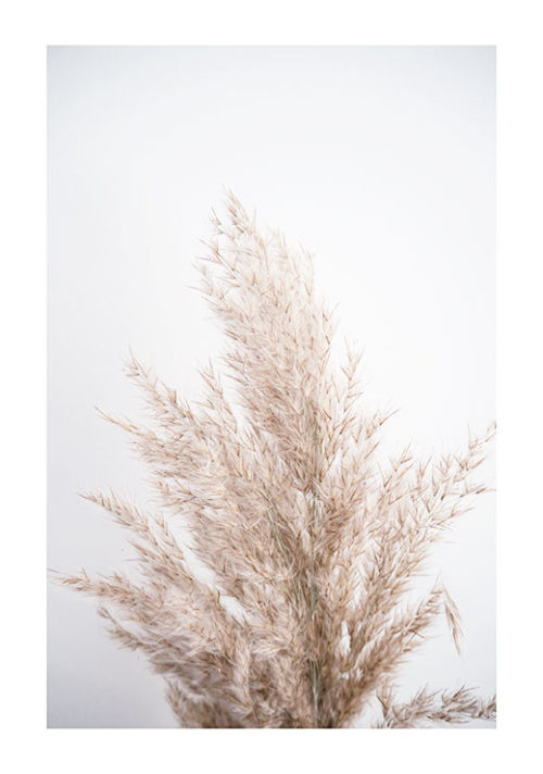 Autumn Reed no. 2