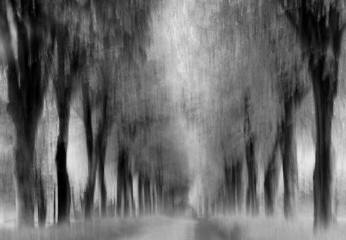 Endless Road - Jacob Berghoef