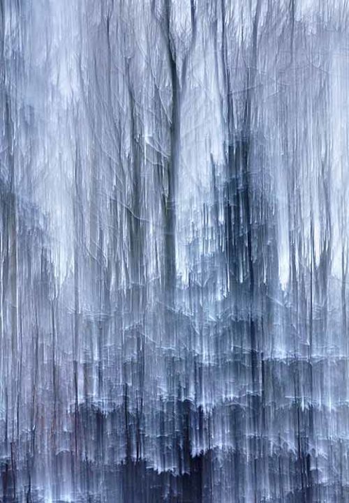 Frozen Scent - Jacob Berghoef