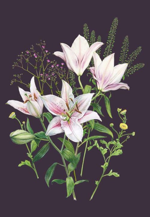 Flower Composition with Lillies - Marianne Scheel